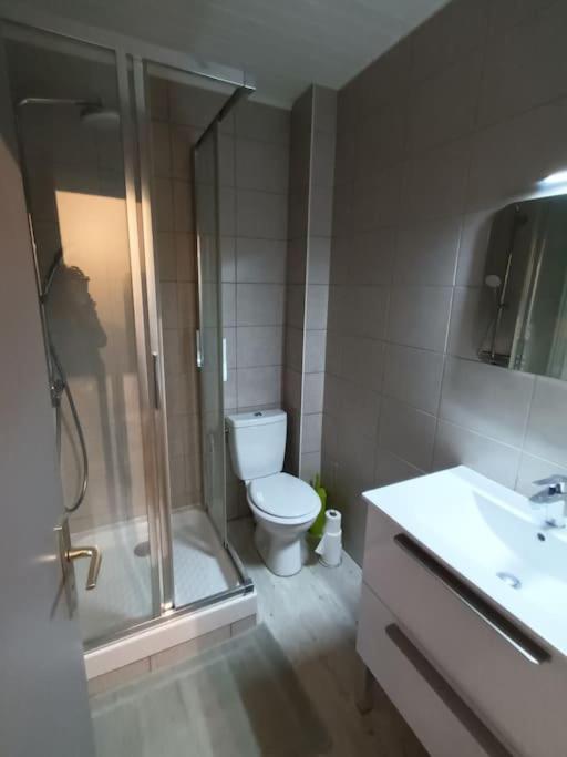 Appartement Duplex Avec Garage Annecy Centre Et Lac Экстерьер фото